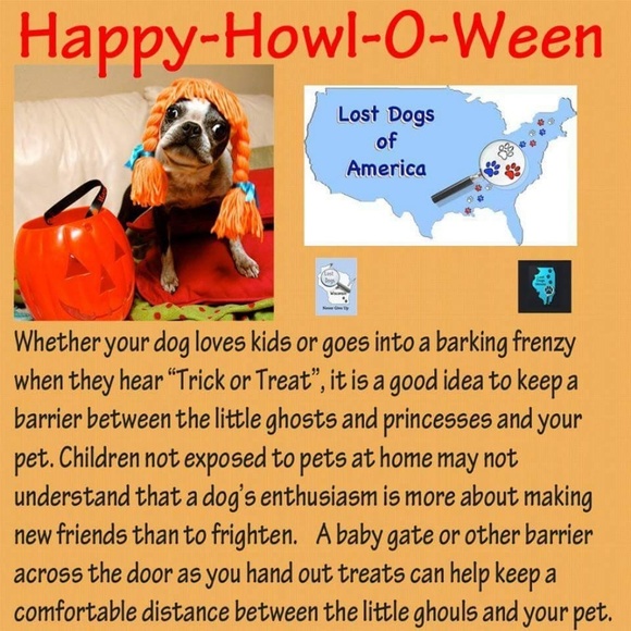 Meet your Posher, Karla Alphawolf - Picture 8 of 8